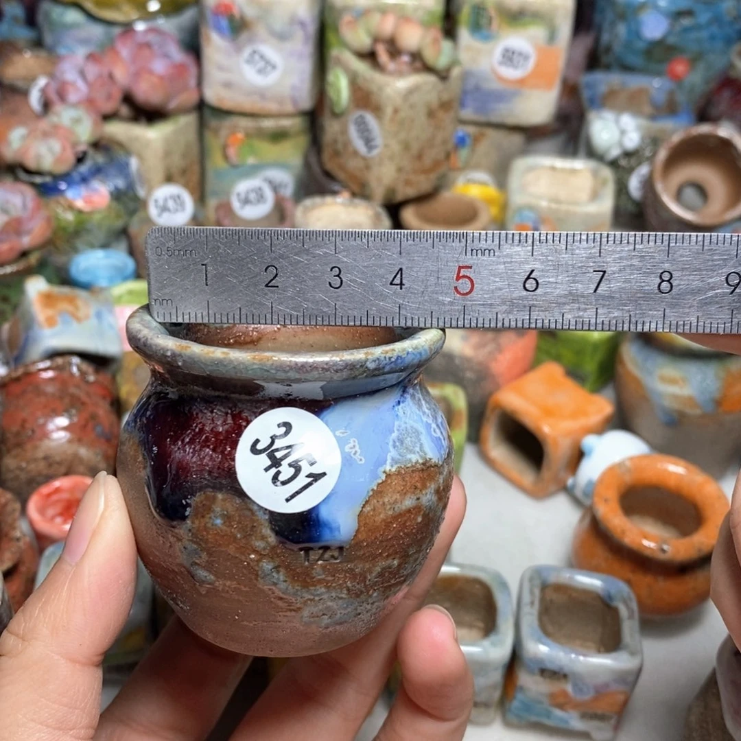 拍5送一个小礼物