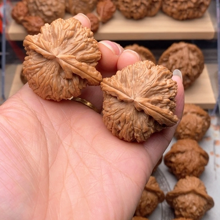 Z***O把件核桃文玩核桃白狮子
