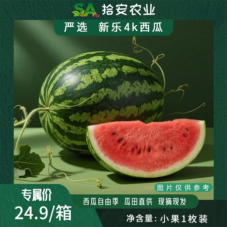 拾安严选 新乐4K西瓜小枚尝鲜款  皮薄瓤甜 夏天的专属味道