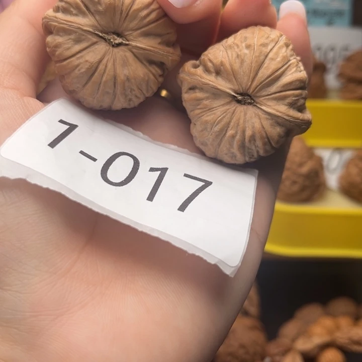 文玩核桃把件41全品南瓜1017