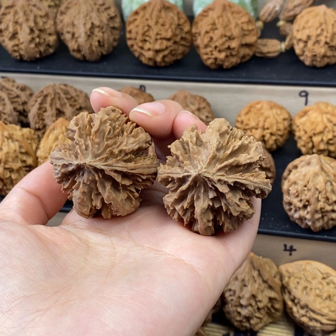 文玩核桃把件霸王花40