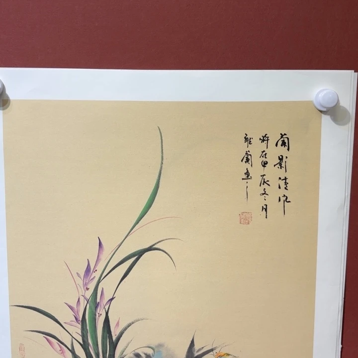 国画听兰老师花鸟