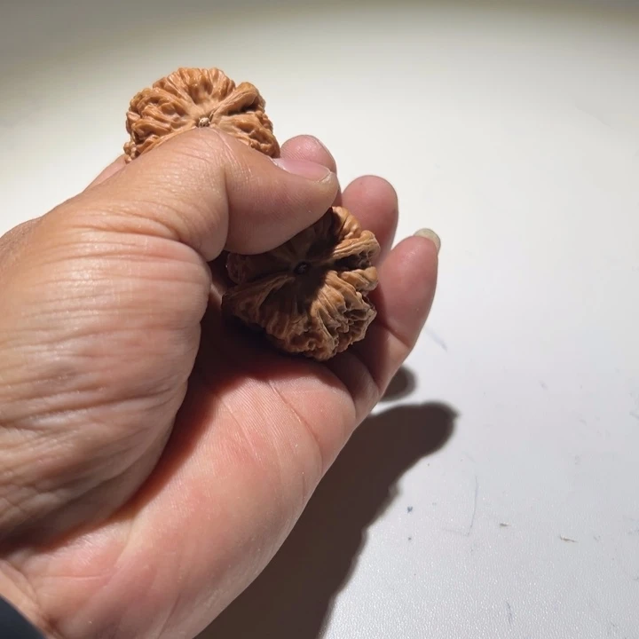 洛***。把件文玩核桃大粗筋