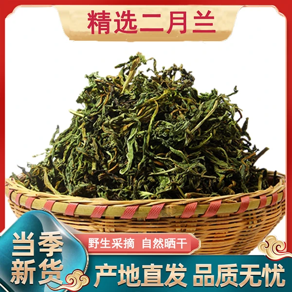（曾小雨专属）伏牛山特产2025年野菜二月兰诸葛菜肉炒素炒250克