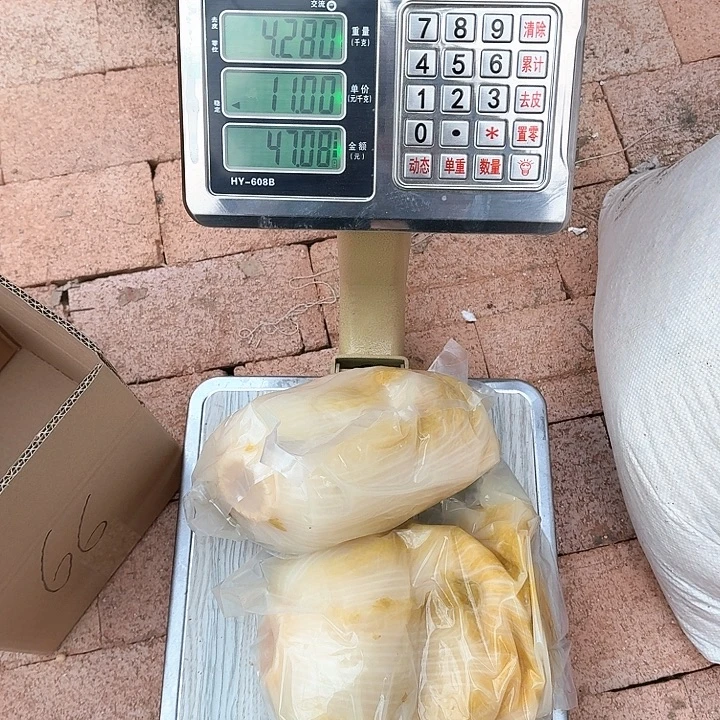 66号没有防腐剂的酸菜中国大陆