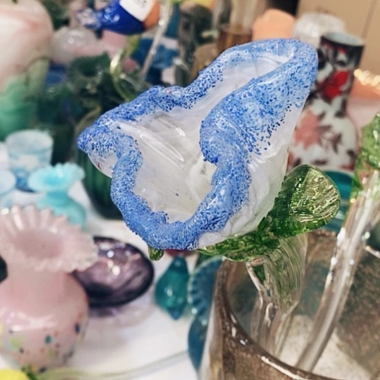 琉璃鸢尾花高48厘米