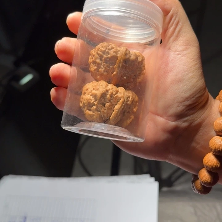 猴头核桃把件106号40mm罐蛤蟆
