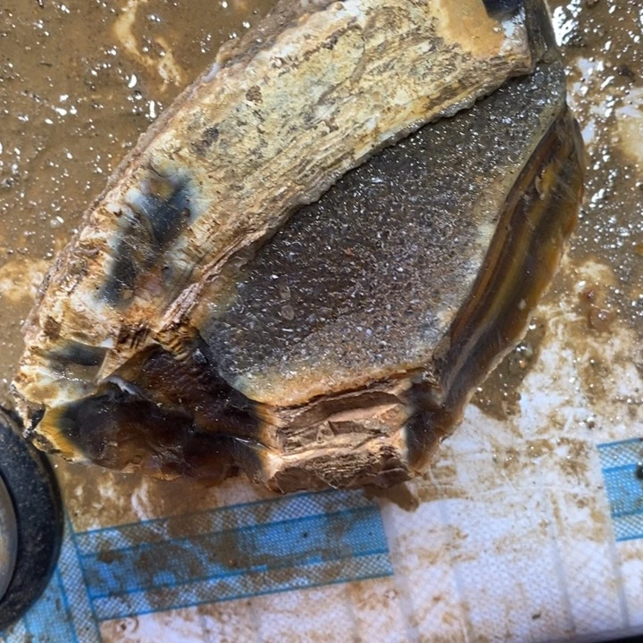 定制玛瑙强*定制玛瑙