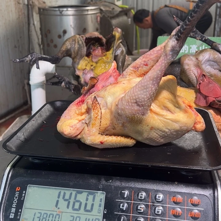 一号母鸡食用农产品我***@