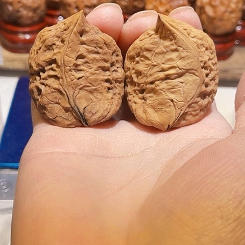 文玩核桃把件半壁带彩36+