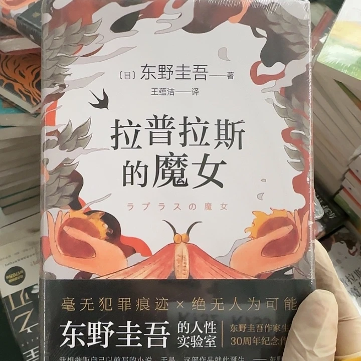 拉普拉斯的魔女闪购12