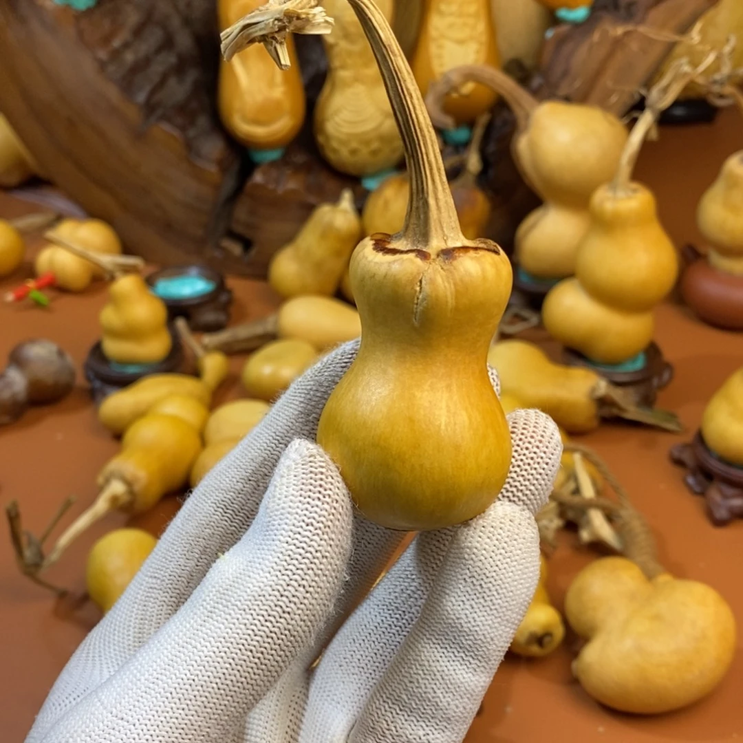 郭***车教练咯考虑教练咯教练