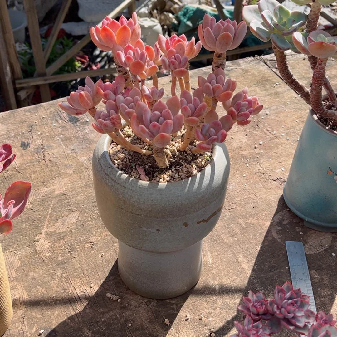 我们的确＂我在＇我朋友