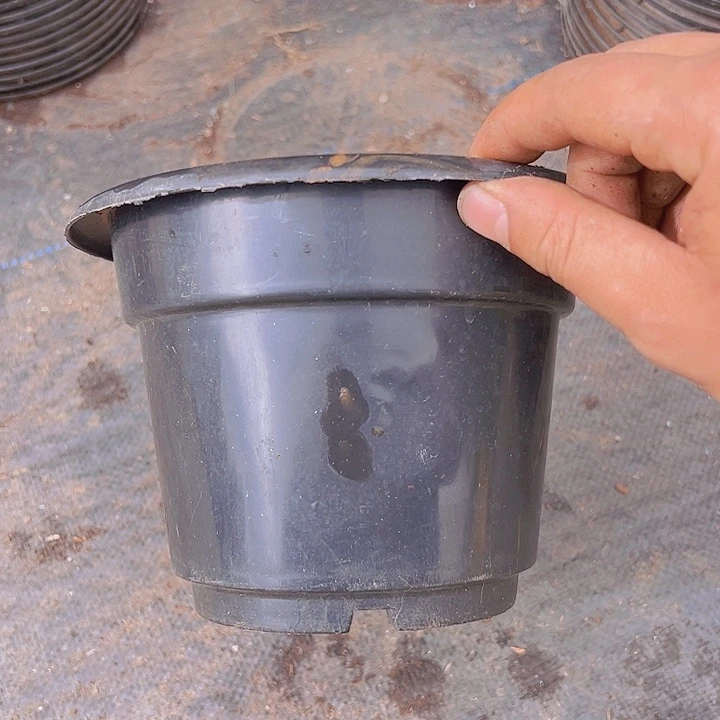 黑盆口径18高13好质量发16个