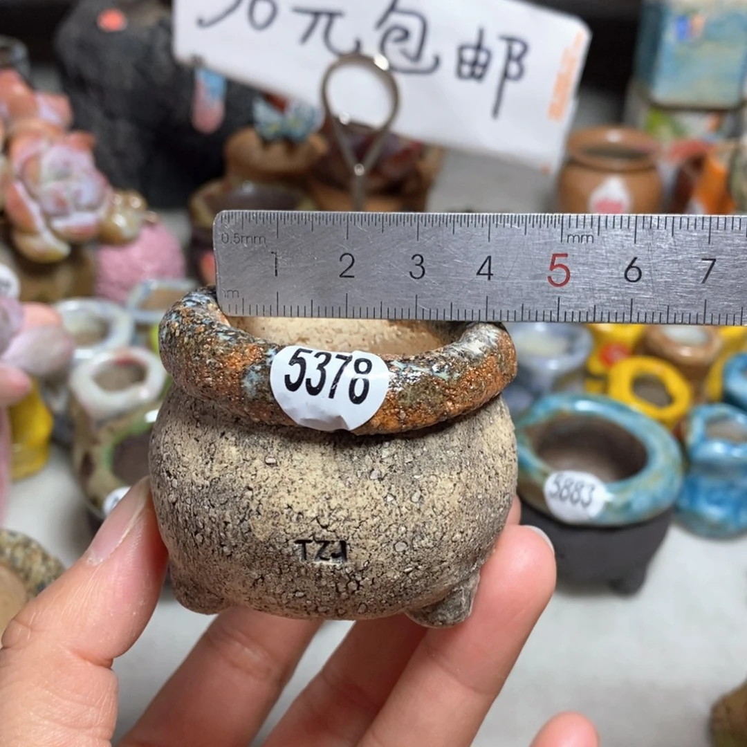 拍3送一个小礼物