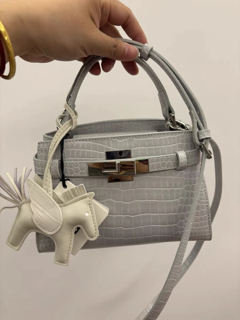 高级感小众鳄鱼纹单肩包#290