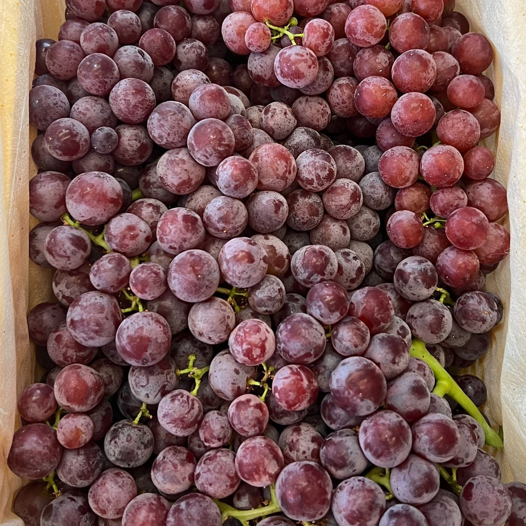 新疆玻璃脆无籽火焰山小糖豆顺丰包邮只发川渝新疆维吾尔自治区