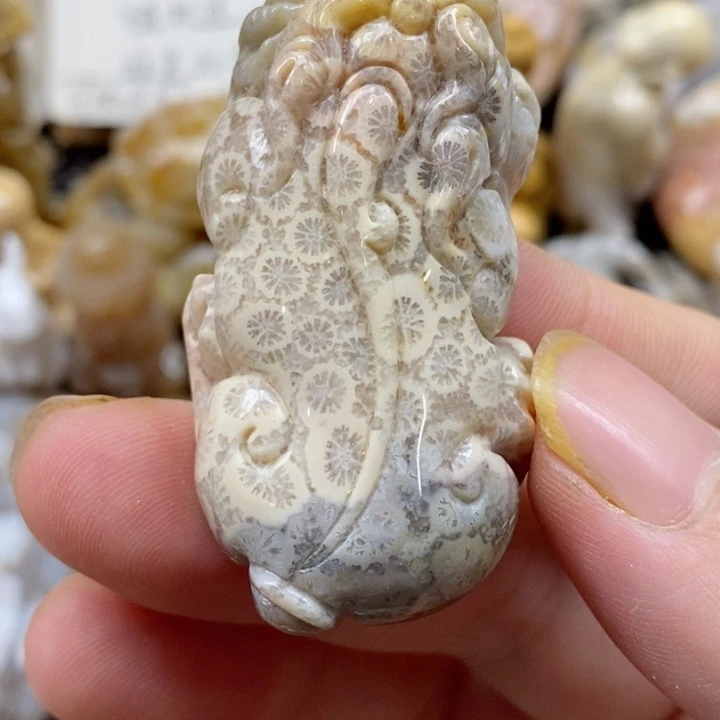 颈饰未镶嵌硅化珊瑚（珊瑚玉）