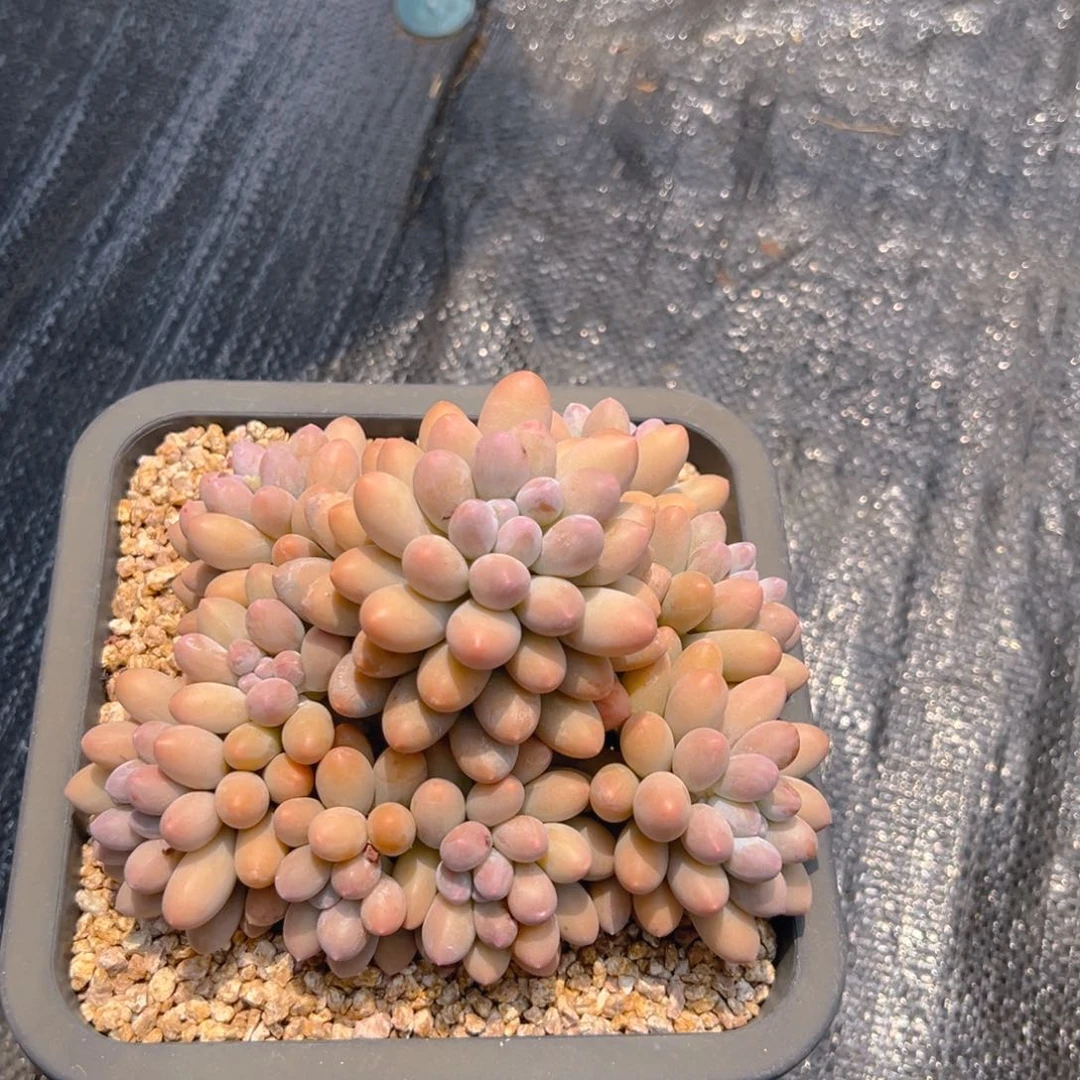 61311111111111111111