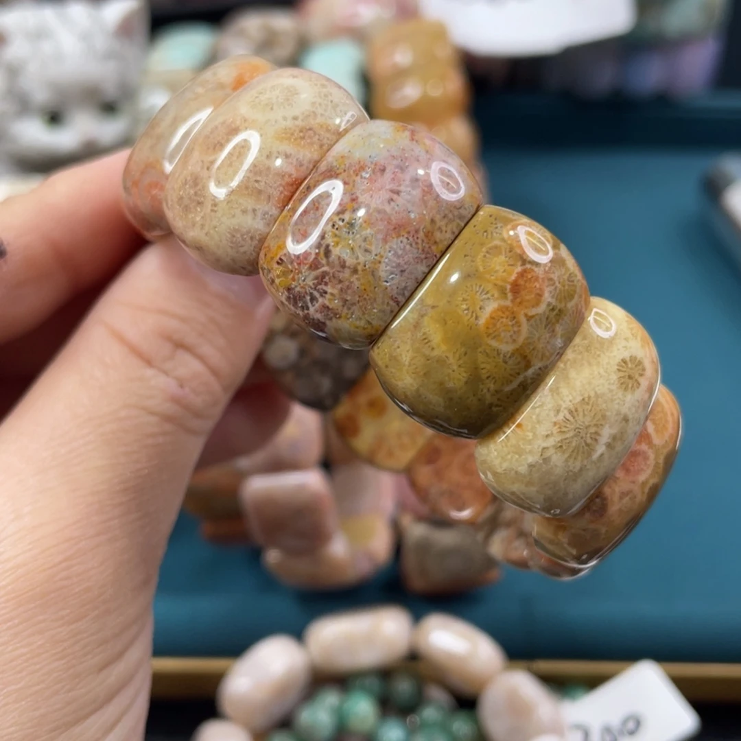 未镶嵌手镯硅化玉