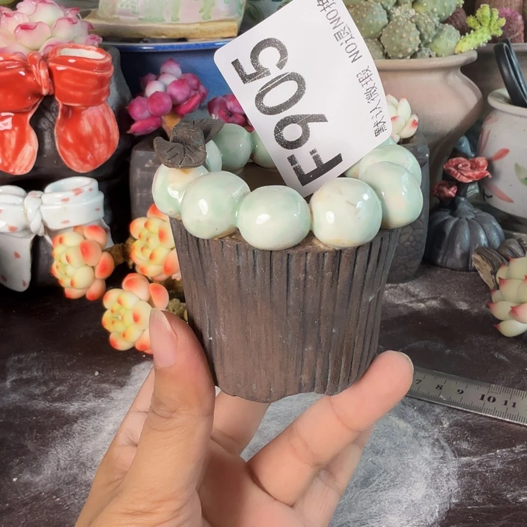 重庆小燕子欢迎大家905