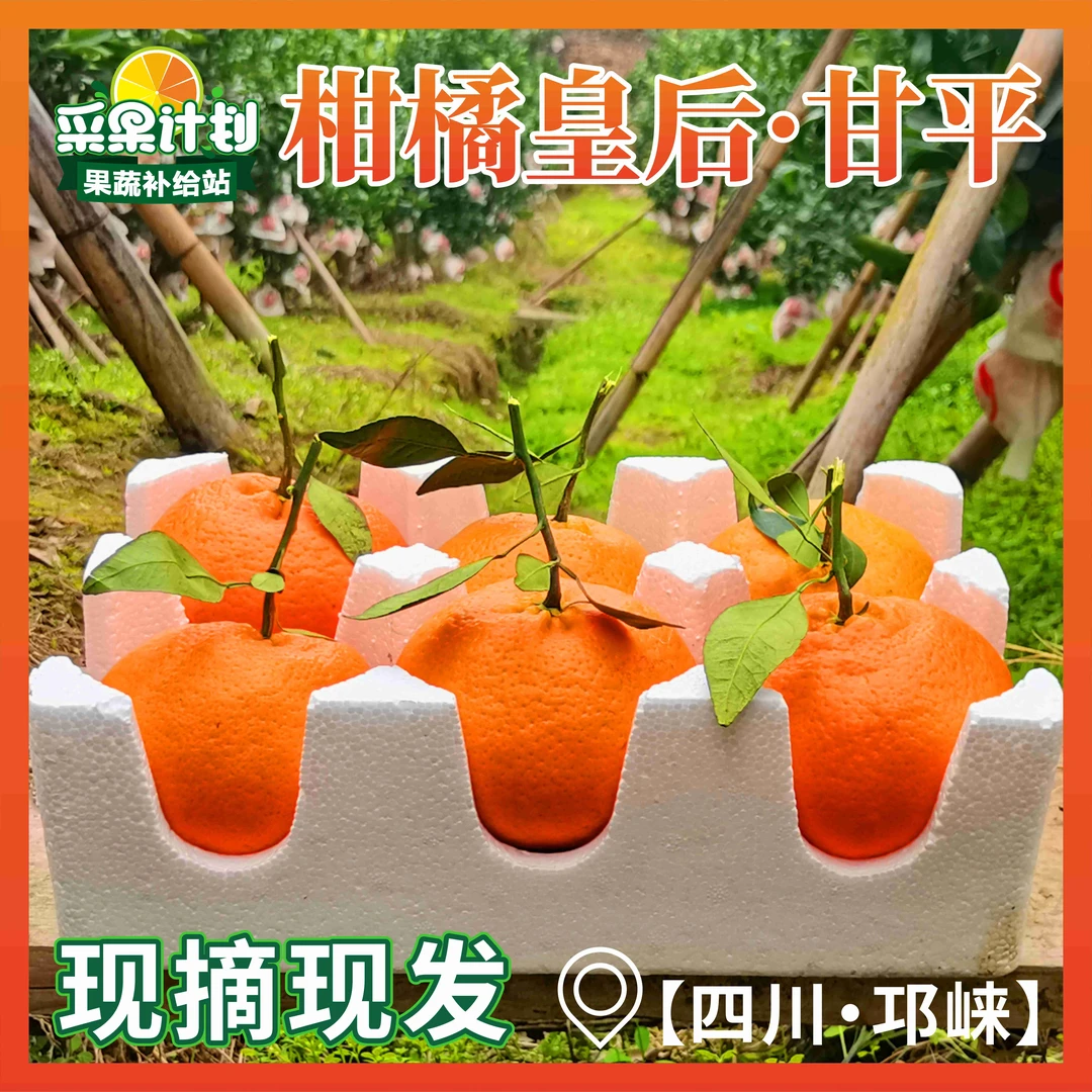 【产地直发】四川甘平柑橘皇后当季新鲜个大皮薄多汁肉嫩香甜水果