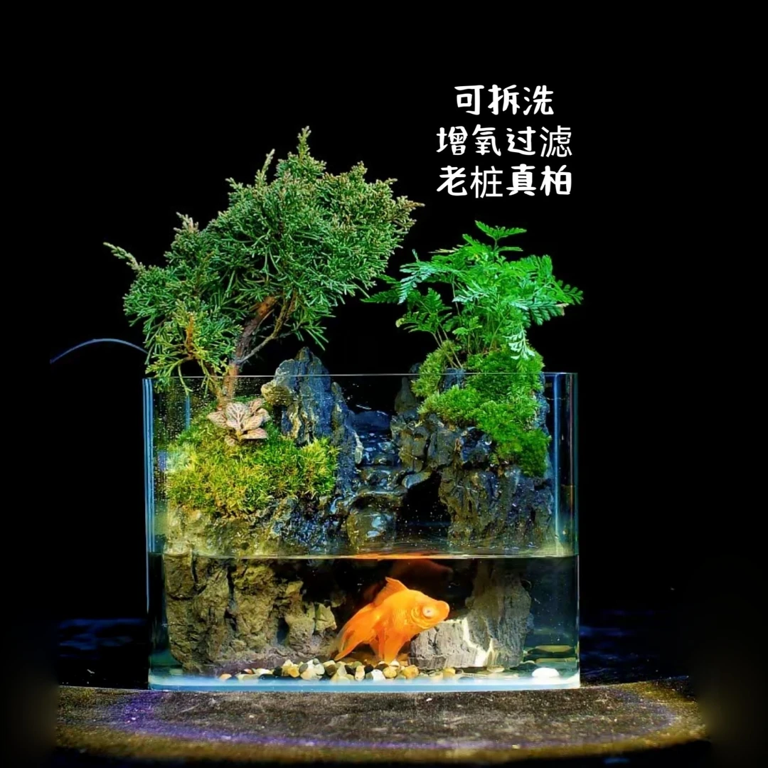 【暮云特惠-韵】 可拆洗高山流水 老桩济州真柏景观可养鱼25*18*16