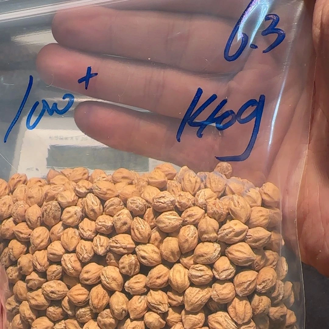 柏香籽/百香籽吊坠6.3 140g