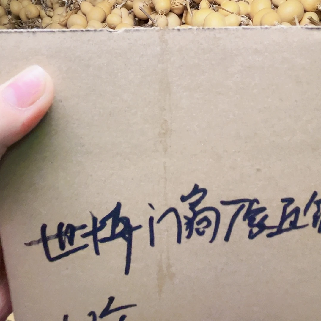 世***销天然小美葫芦十个小葫芦