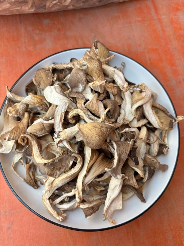 云南特产干冻菌、平菇