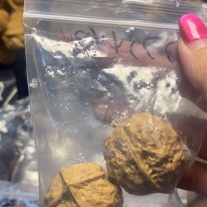 湫***湫吊坠文玩核桃福利94