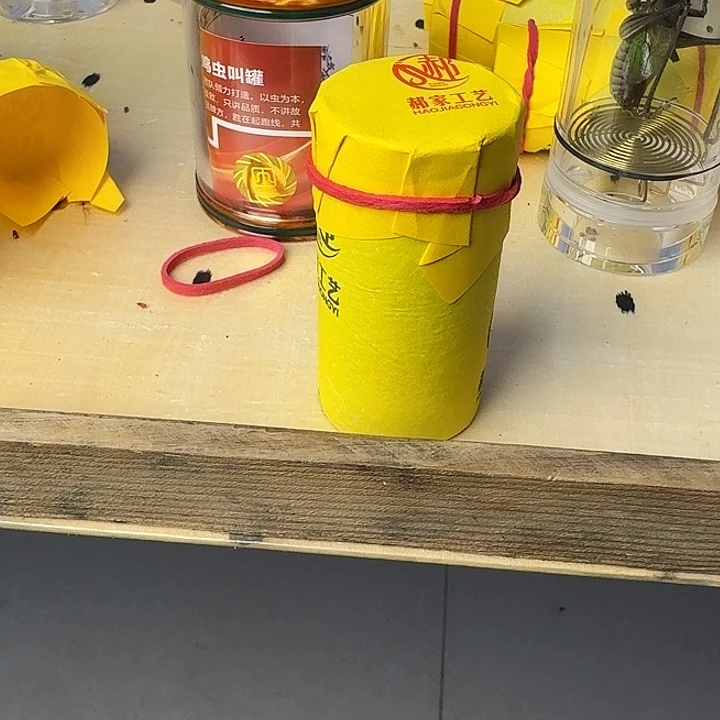 大***兵郝建伟蝈蝈大包精品