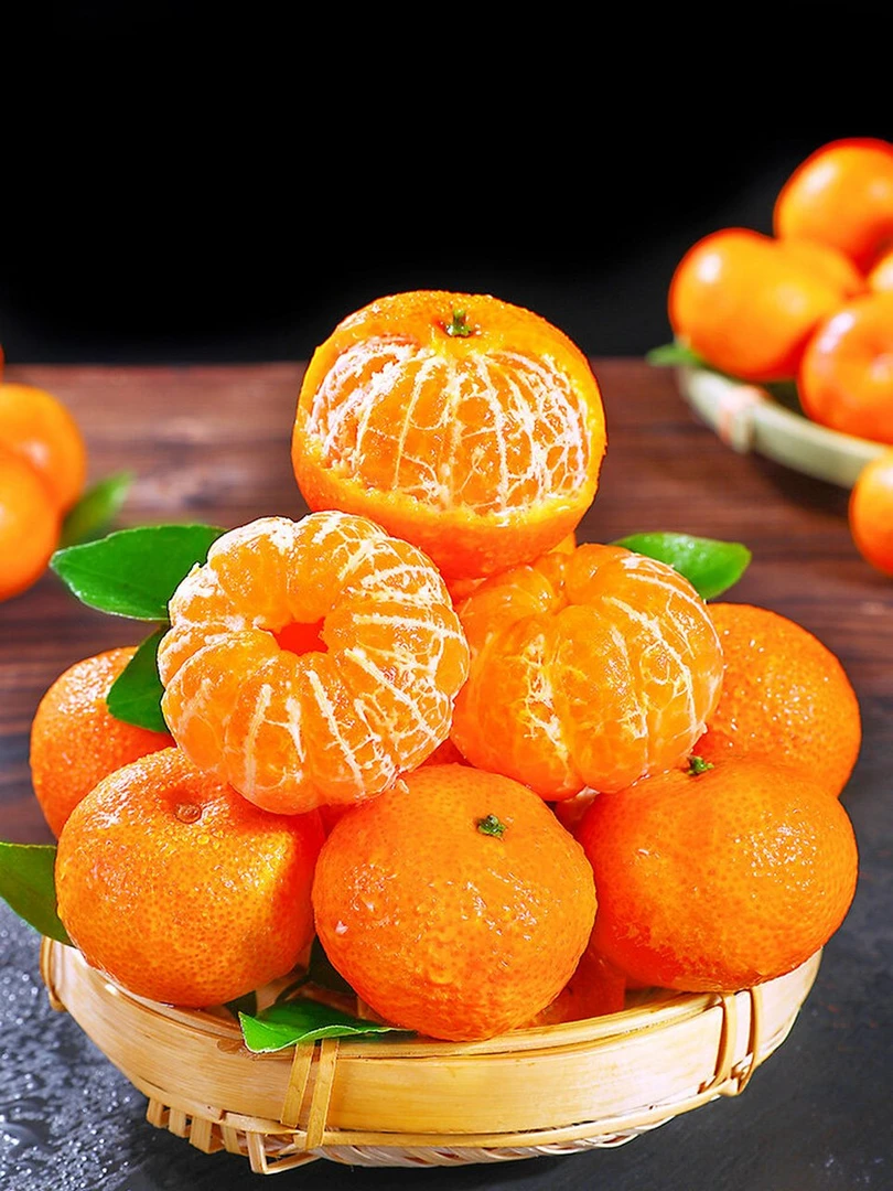 云南大山高原沙糖桔