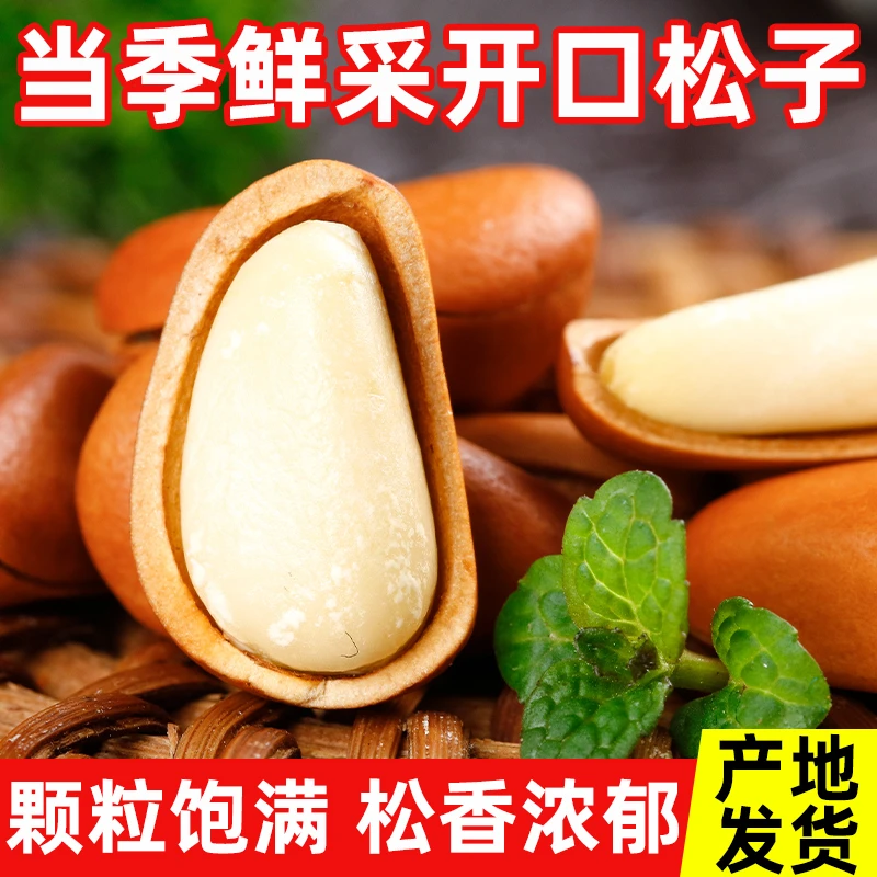 东北开口松子新货坚果即食炒货干果松子大颗粒500g休闲零食松子