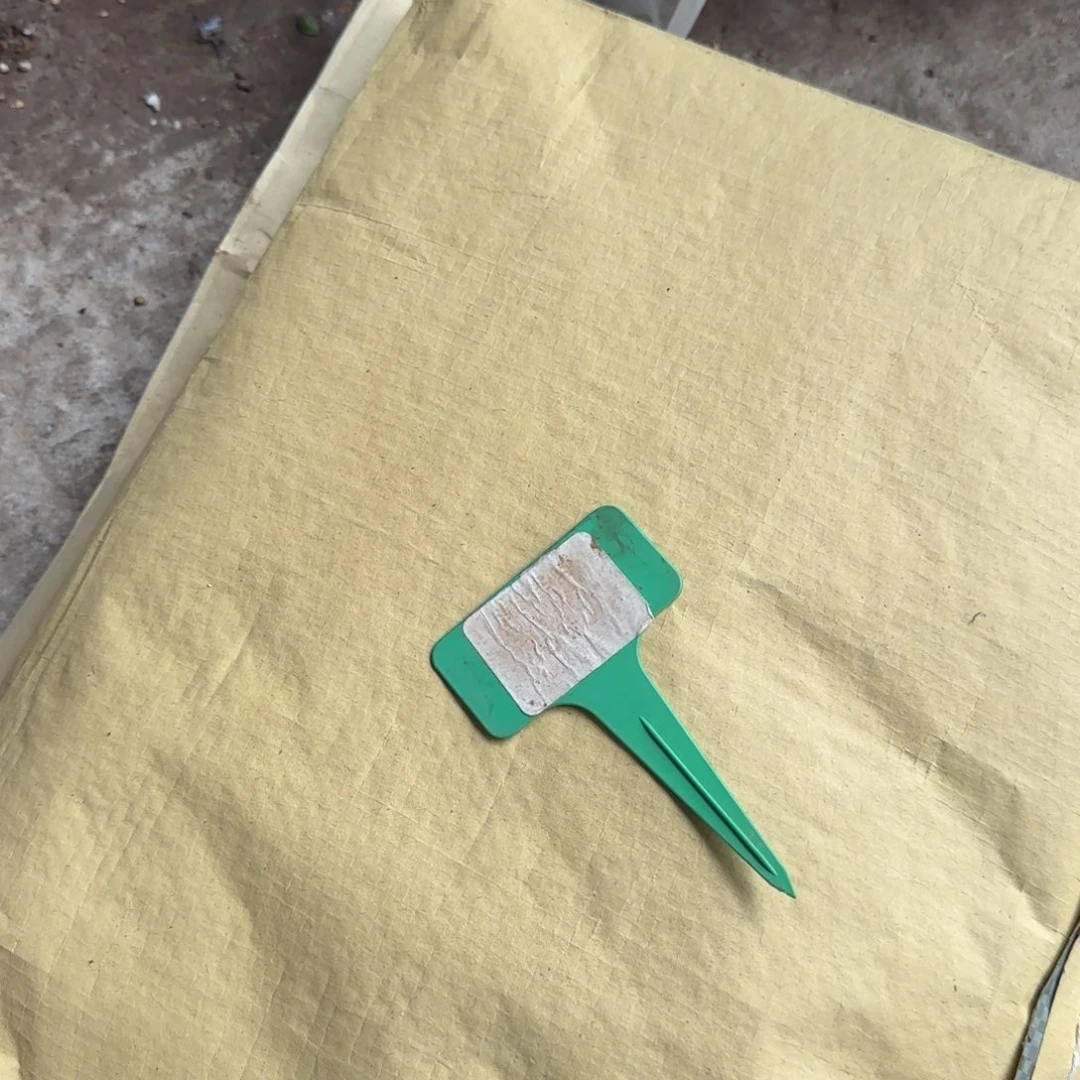 多肉植物品质加颗粒调好