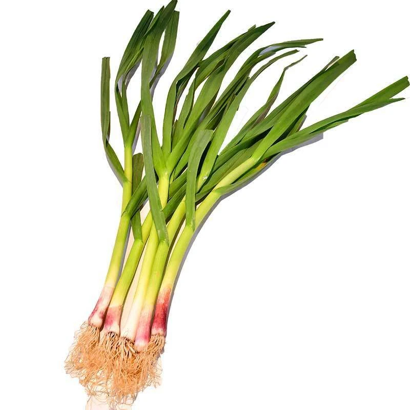 红头香蒜苗约150g