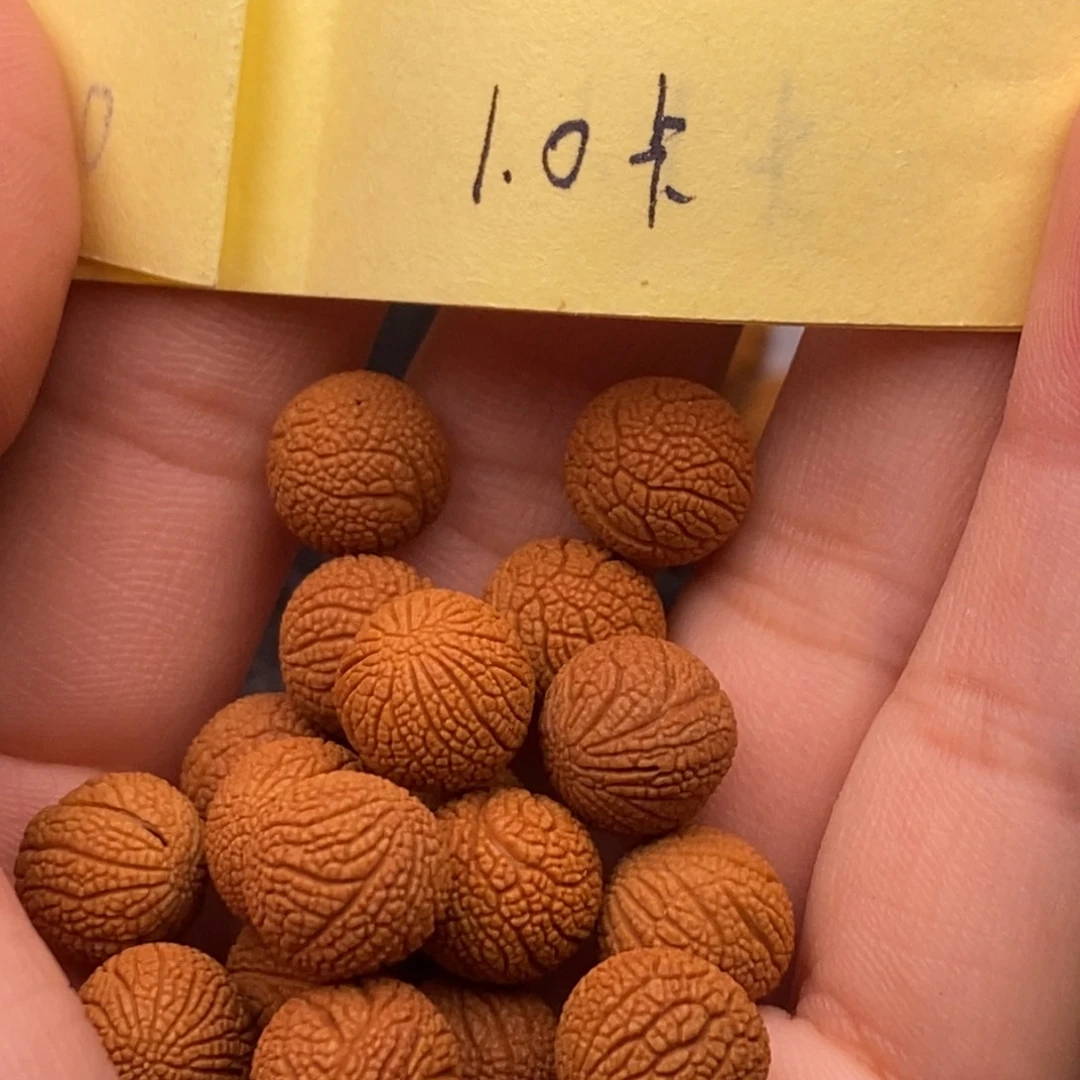 秦岭山脉龙纹桃核 21