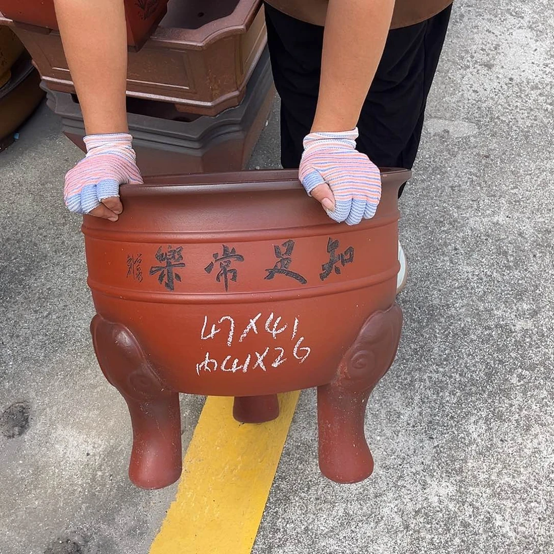 紫砂花盆盆景艺术