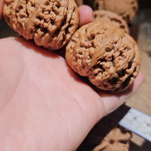 文玩核桃吊坠47.5粗筋