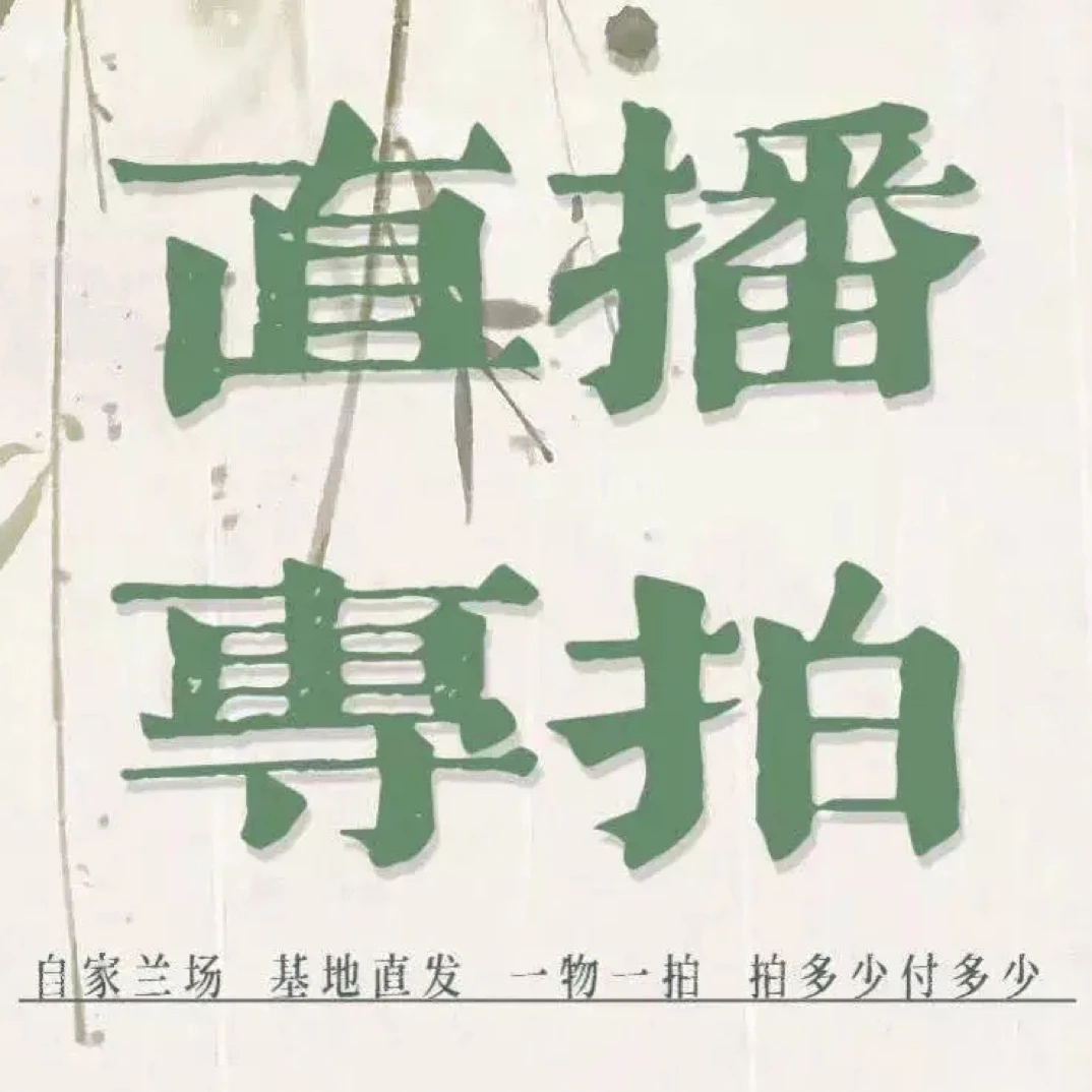 兰花直播间一物一拍专用链接