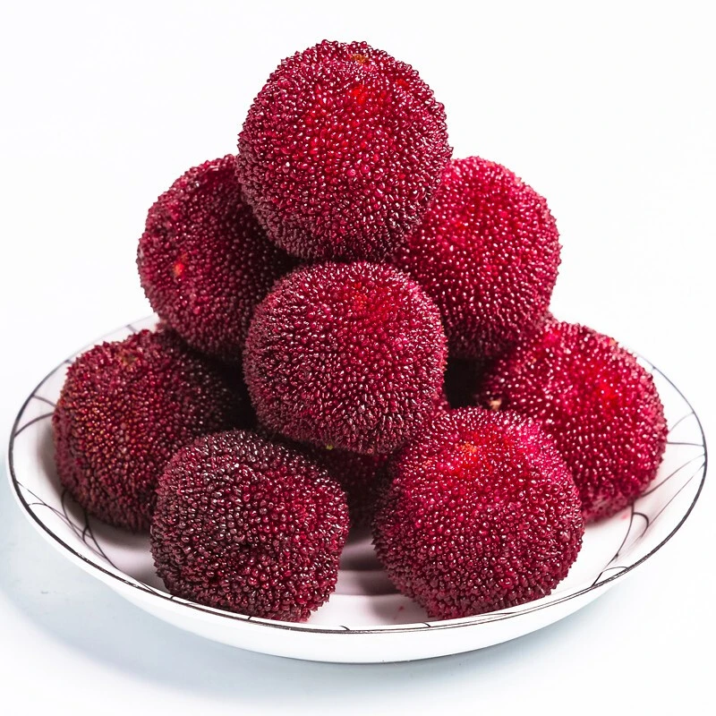 【正宗】东魁杨梅 500g/盒（特大果）