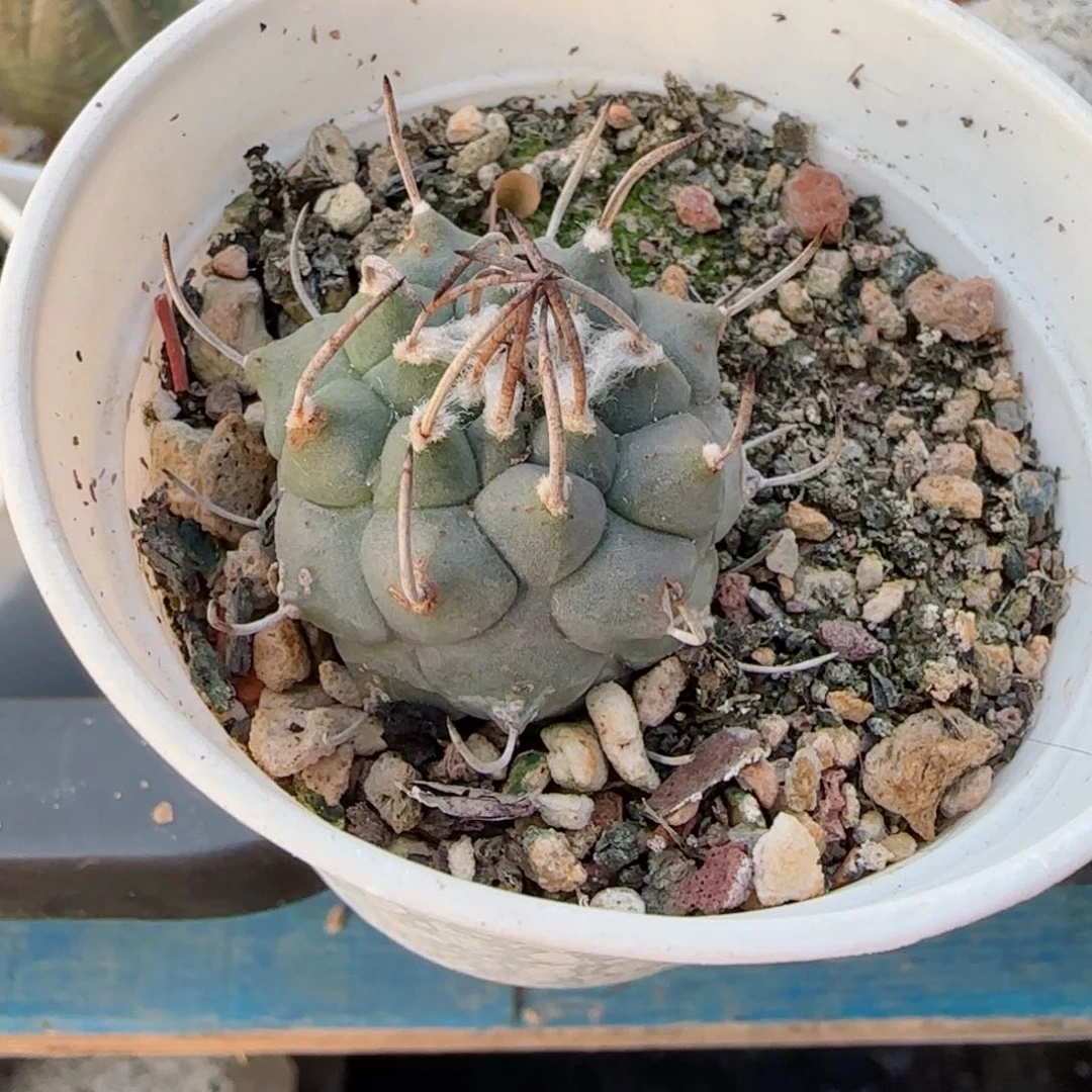 福利满30包邮48小时凑单