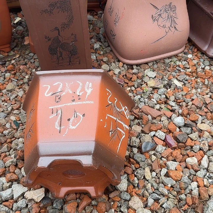紫砂花盆紫砂花盆