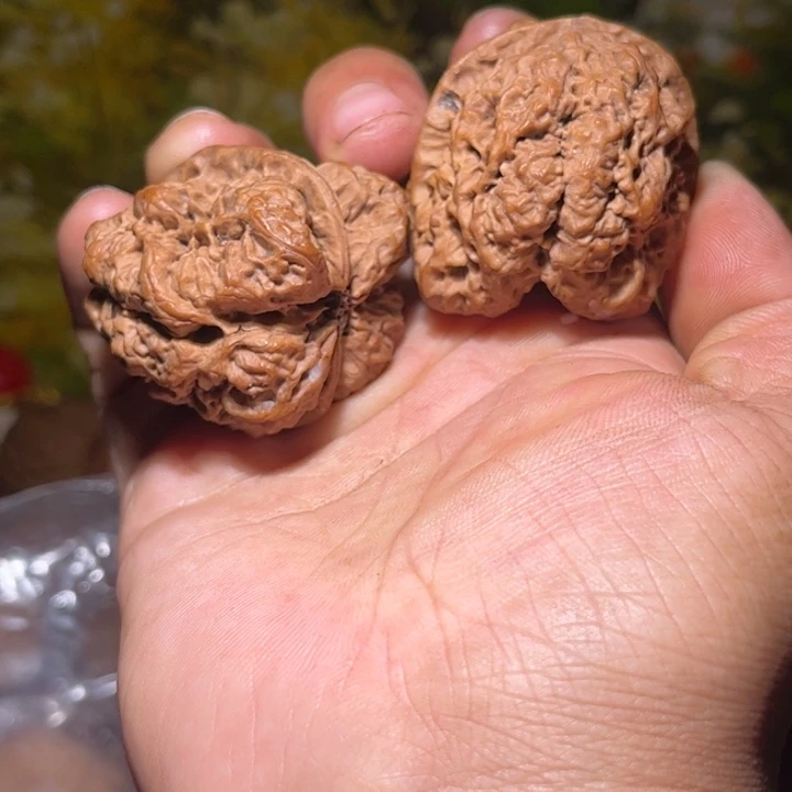 ****杨文玩核桃吊坠滇西77