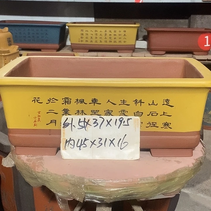 紫砂花盆花盆紫砂