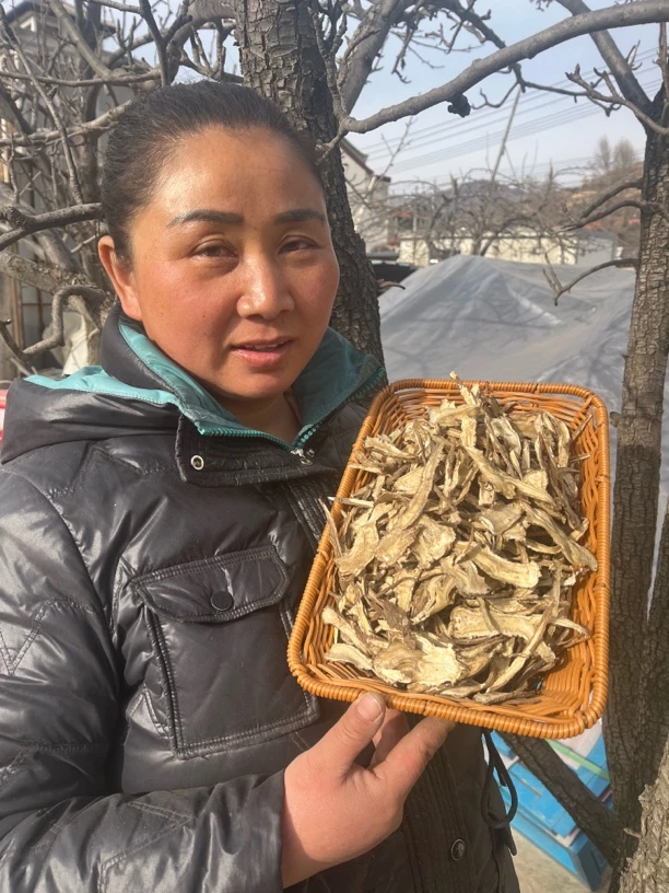 岷县精选当归全归片