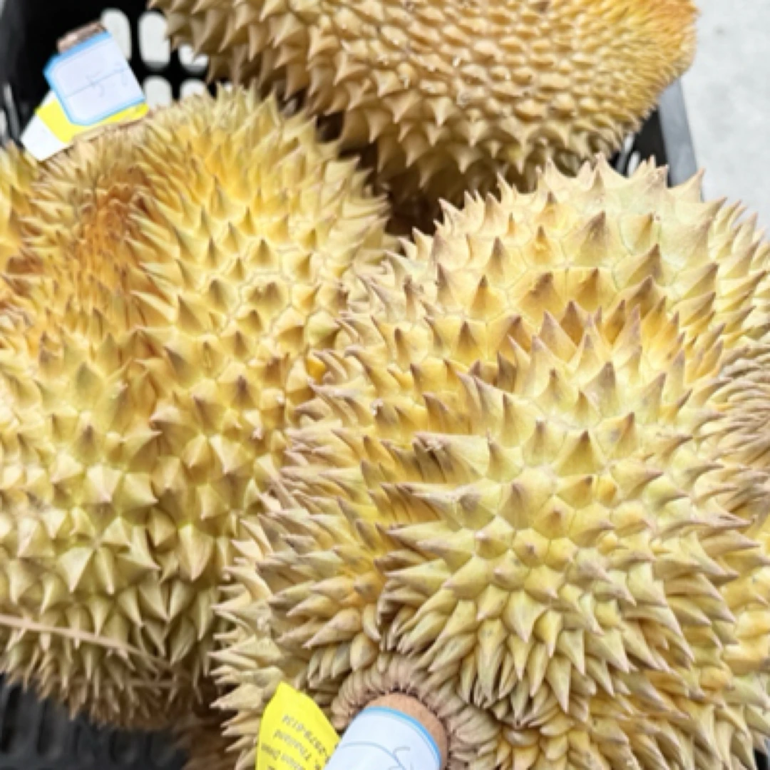 【金枕榴莲特惠】福清贝鲜生新鲜金枕鲜榴莲27/斤 核大 必须等到自然裂开壳即可吃 金枕