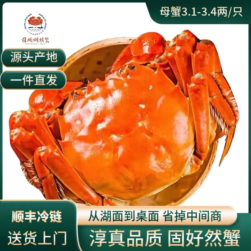 固城湖螃蟹【活蟹】江苏大闸蟹母蟹3.4两 8只+送2只装 现捞现发