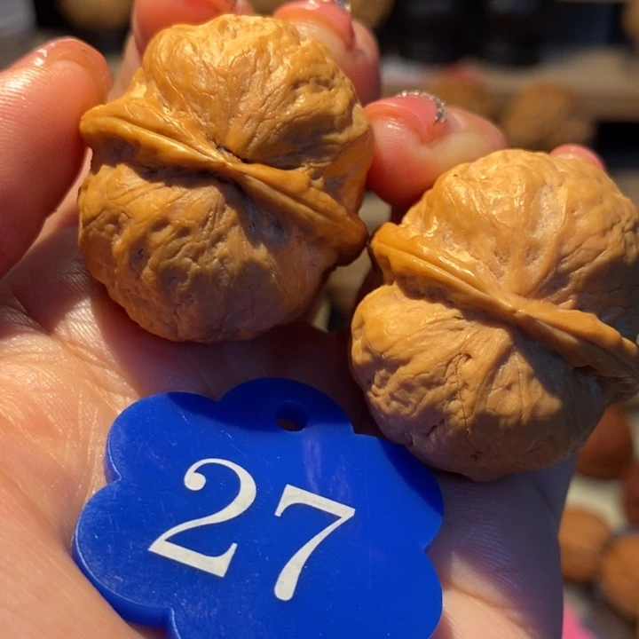 脚***印铁核桃玉面冰蟾37尺寸
