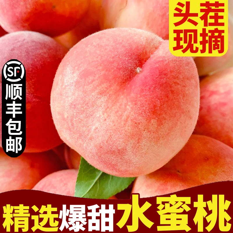 【顺丰包邮】山西水蜜桃新鲜脆桃当季现摘桃子脆甜水果应季夏日尝鲜